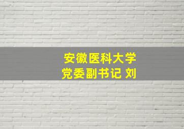 安徽医科大学党委副书记 刘